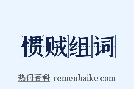 惯贼组词是什么意思的图片